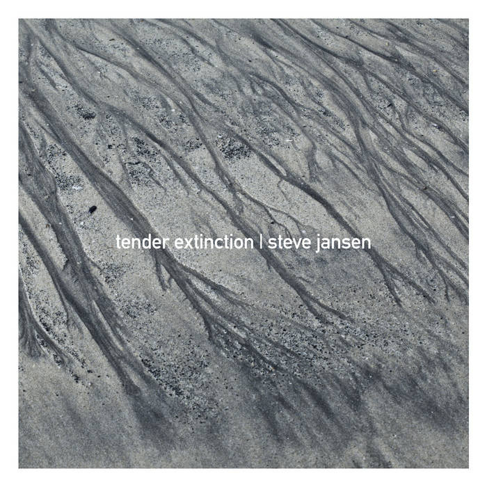 Album cover: Steve Jansen, Tender Extinction