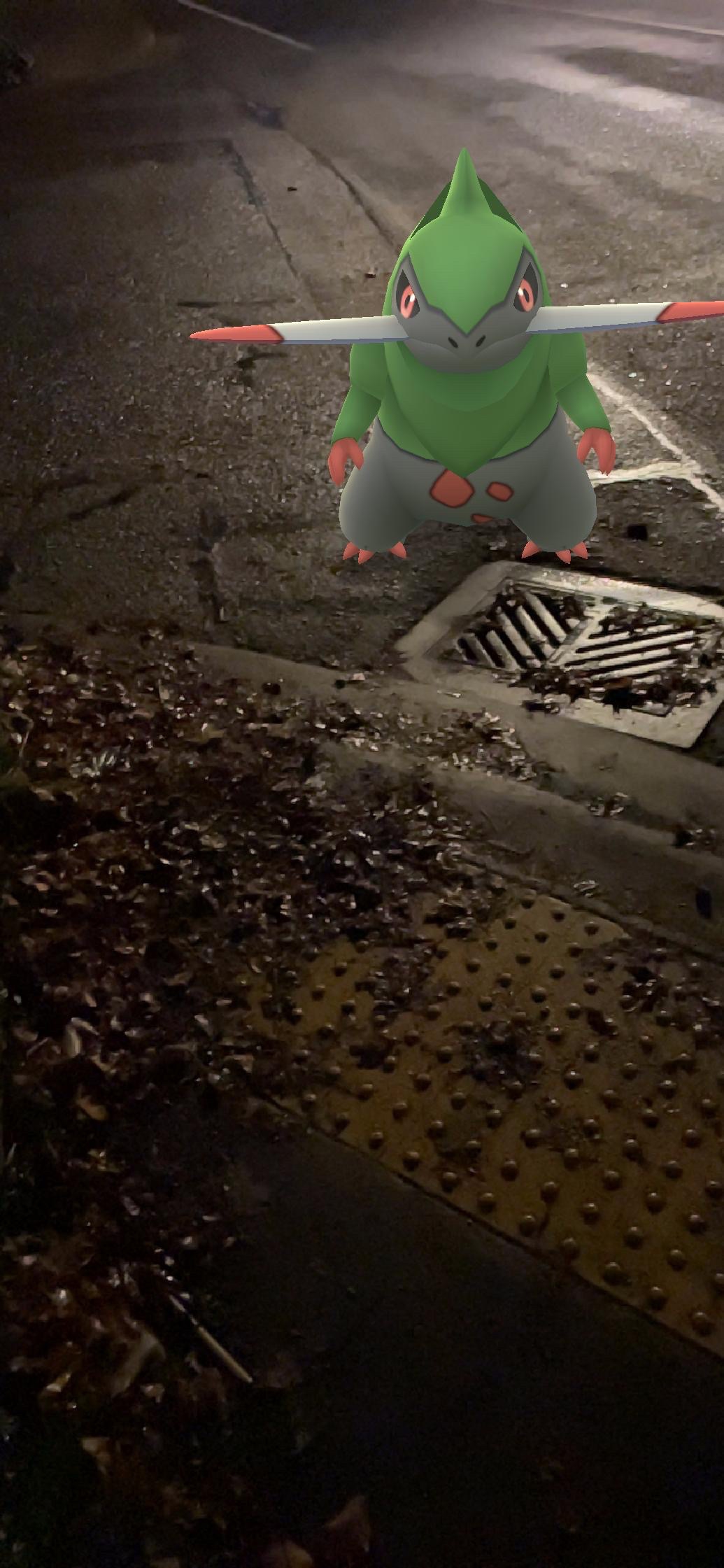 "Fraxure" Pokemon standing next to a street drain