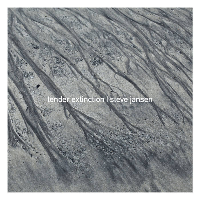 Album cover: Steve Jansen, "Tender Extinction”